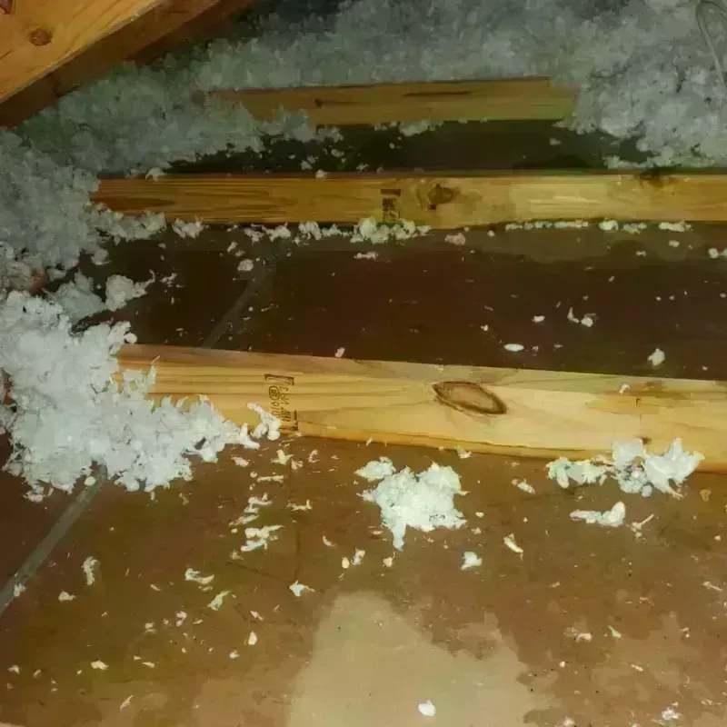 Attic Water Damage in Euharlee, GA